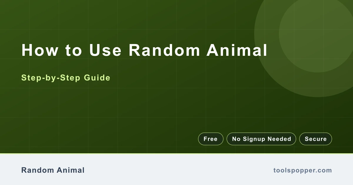 How to use Random Animal β step-by-step guide