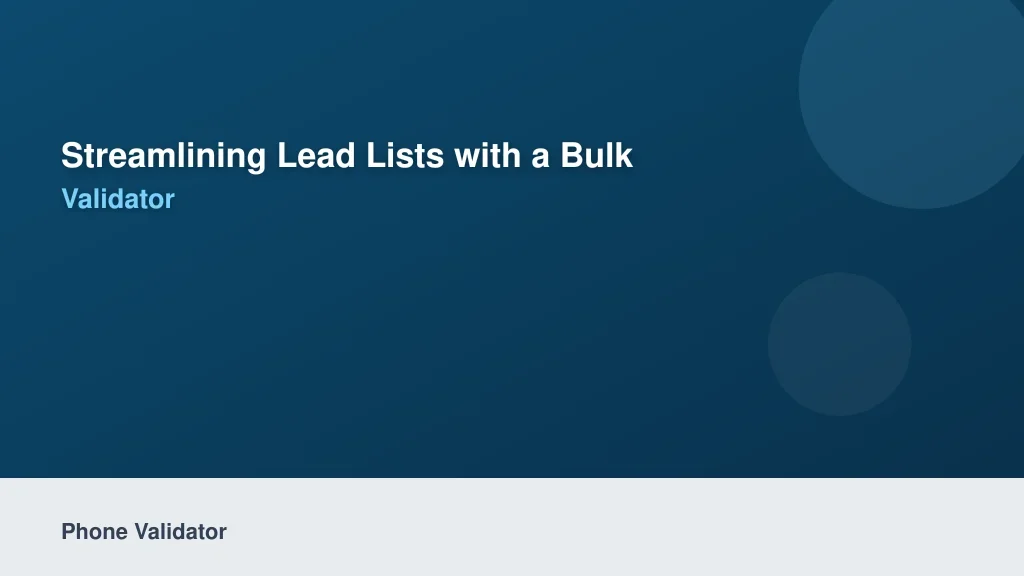 Streamlining Lead Lists with a Bulk Phone Validator