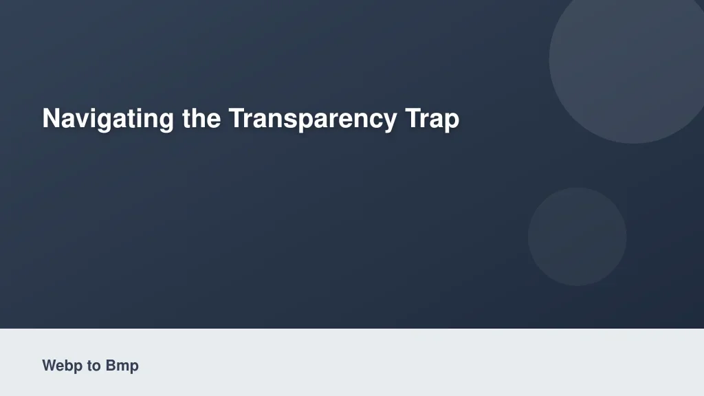 Navigating the Transparency Trap