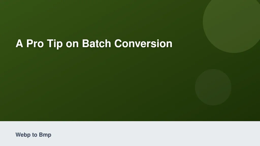 A Pro Tip on Batch Conversion