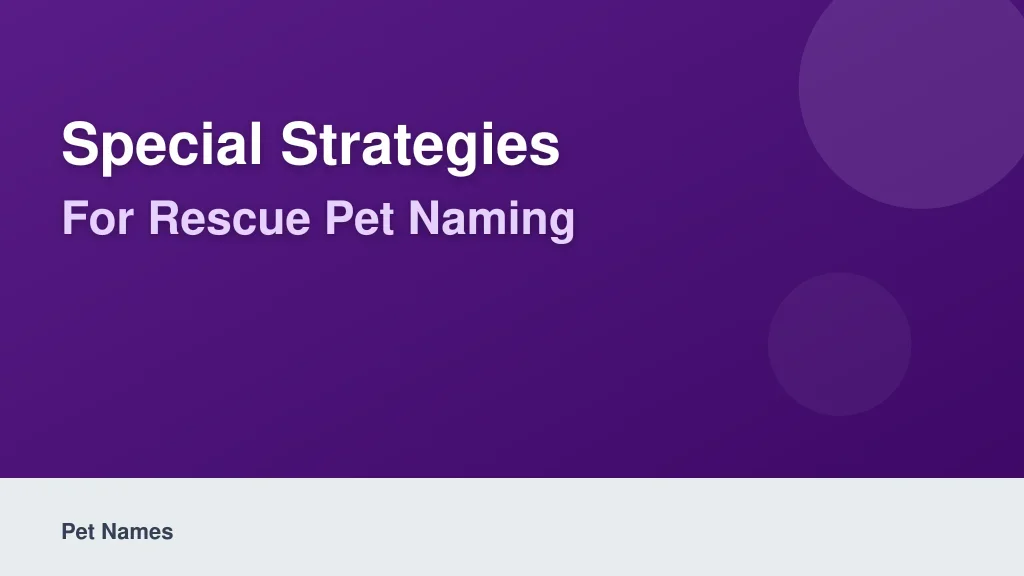 Special Strategies for Rescue Pet Naming